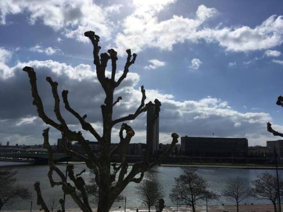 Apartamento La Cathedrale - Vue Sur Seine Ruan Exterior foto